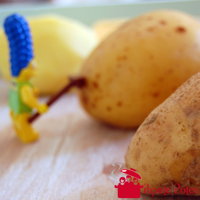 Récolte et nettoyage de patates du mois de novembre